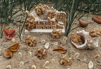 Walnut. Seashell. Green grass. Statuette. Nature. Abstraction.