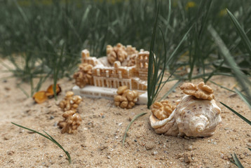 Walnut. Seashell. Green grass. Statuette. Nature. Abstraction.