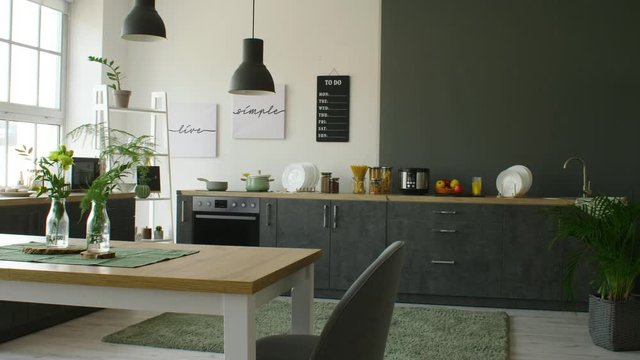 Interior of modern stylish kitchen
