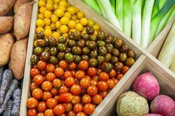 Fresh Organic Farm Tomatoes