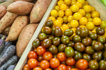 Fresh Organic Farm Tomatoes