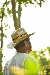 senior man in a garden