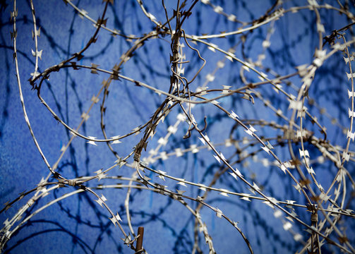 Sharpened barbed-wire is twisted in front of a blue wall for security.