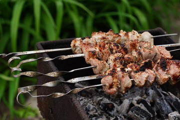 Close up of toasted shashlik on skewers. Succulent barbecue roasting on chargrill. Concept of picnic outdoor.