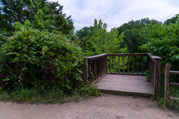 Small Deck Overlooking Dense Forest With Cloudy Skies