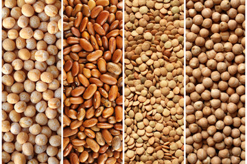 Organic legumes collage  - dry yellow peas, brown kidney beans, green lentils, chickpeas