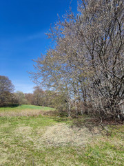 Obraz premium Spring landscape of Vitosha Mountain, Bulgaria