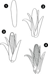 Naklejka premium Drawing learn step by step tutorial techniques plants set with vegetables fruits flowers trees vegetation for kids workbook isolated background. Vector illustration corn
