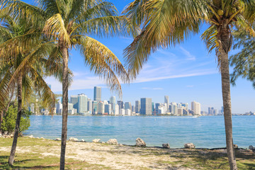 Downtown Miami Skyline Framed with Palm Trees - Biscayne Bay