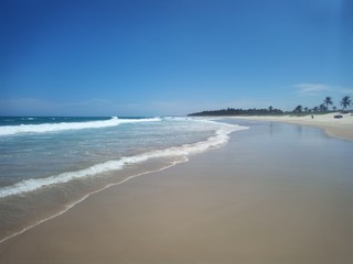 Fototapeta na wymiar Praias em Alagoas, lindas praias.