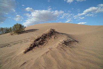 sand dunes in the desert