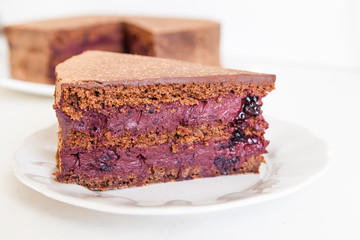Homemade cake with currants. Delicious family dessert. Home cooking