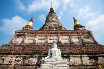 Fototapeta premium Pagoda and Buddha Status at Wat Yai Chaimongkol, Ayutthaya, Thailand