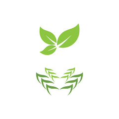 Leaf Logo Template vector symbol