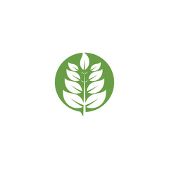 Leaf Logo Template vector symbol