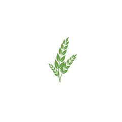 Leaf Logo Template vector symbol