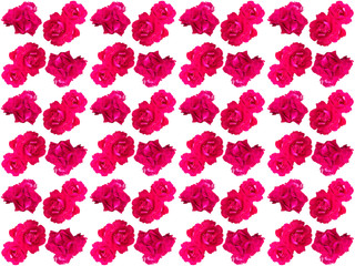 Flowers pattern texture. Floral pattern. Pattern of flowers.