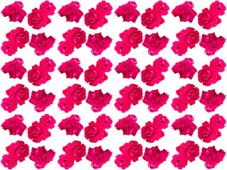 Flowers pattern texture. Floral pattern. Pattern of flowers.