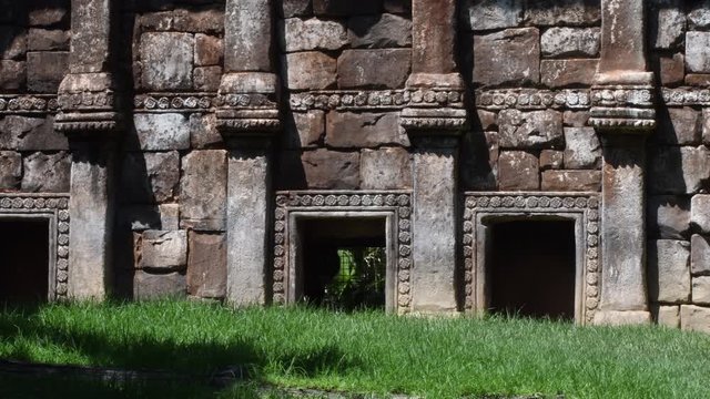 Sumatran Tiger in the ruins of a old oriental temple - Panthera tigris sumatrae