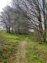 Spring landscape of Vitosha Mountain, Bulgaria