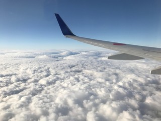 Obraz premium 翼と雲海@空