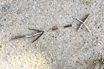 Wooden stick arrow sign at forest white gravel stone path. Scavenger hunt game. Nature way finding concept. Woodlands playground ecology background