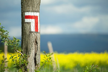 wooden sign in the field showing red tourist trail corner directon. summer excursion holiday background