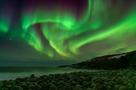 colorful northern light aurora borealis with purple, red, green and blu flames over the sky in iceland in a beach in
