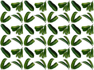 Foliage pattern. Pattern of leaves. Leaf pattern texture.