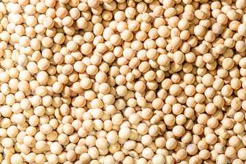 Brazilian soybean seeds background with selective focus