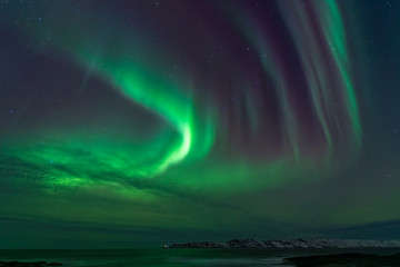 Aurora borealis, northern lights in the north of norway above snowy hills