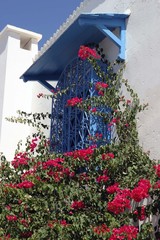 flowers in a house, Tunis
