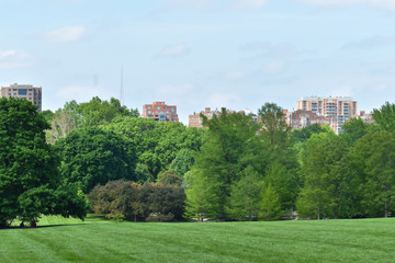 Fototapeta na wymiar Kansas City Skyline from Loose Park