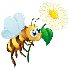 Bee holding flower on white background