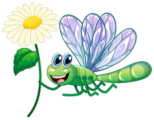 Dragonflying holding flower on white background