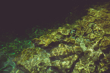 A cenote is a natural pit, or sinkhole, resulting from the collapse of limestone bedrock that exposes groundwater underneath. Xcacelito, Mexico