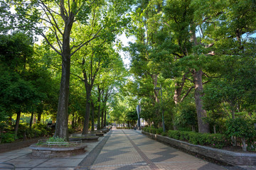 教育の森公園（文京区大塚）