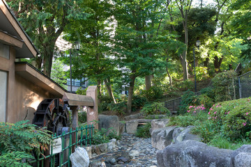 窪町東公園（文京区大塚3丁目）