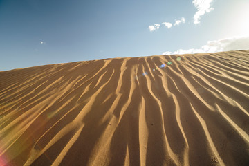 Naklejka premium sand dunes in the desert