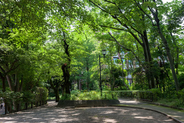 窪町東公園（文京区大塚3丁目）