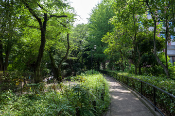 窪町東公園（文京区大塚3丁目）