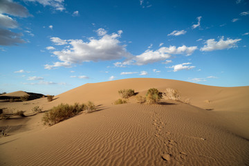 sand dunes in the desert