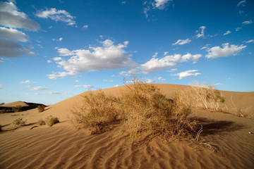 sand dunes and sky