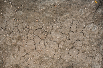 Top View of Dry Ground