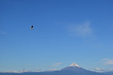 Fototapeta na wymiar Birds flying over a volcano