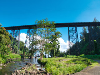 Hakalau Bridge　ハワイ島の鉄橋