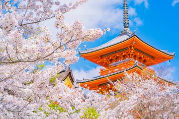 Schilderijen op glas 京都の桜 ~ Kyoto, Japan, Temples and Cherry Blossoms ~ © 拓也 神崎