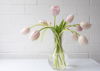 Close up of pale pink tulips in glass vase on white table against painted brick wall (selective focus)