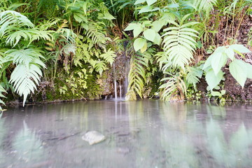 water