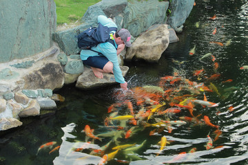 Obraz premium man feeds fish